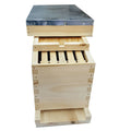 5 Frame Deluxe Nuc Kit
