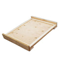 10 Frame Migratory Top