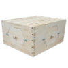 10 Frame Observation Hive