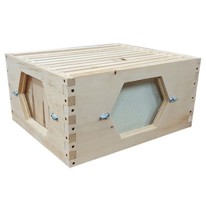 10 Frame Observation Hive