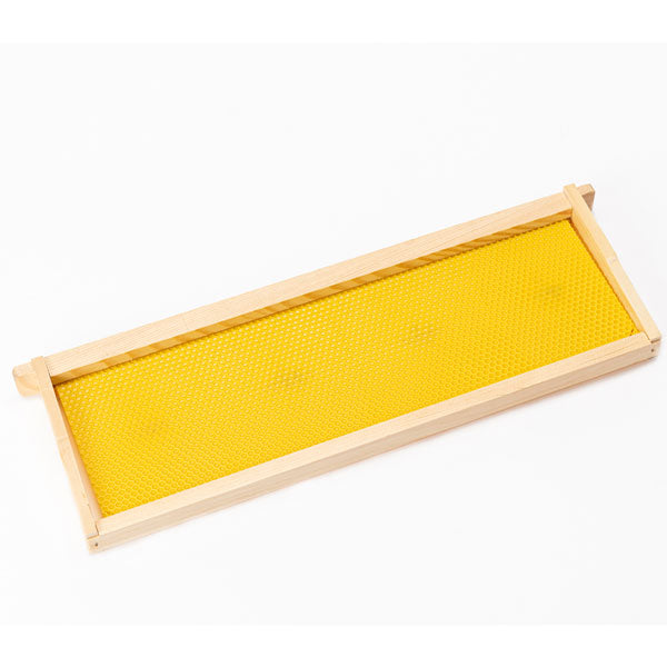 Assembled Medium Frame With Yellow Canacell Foundation